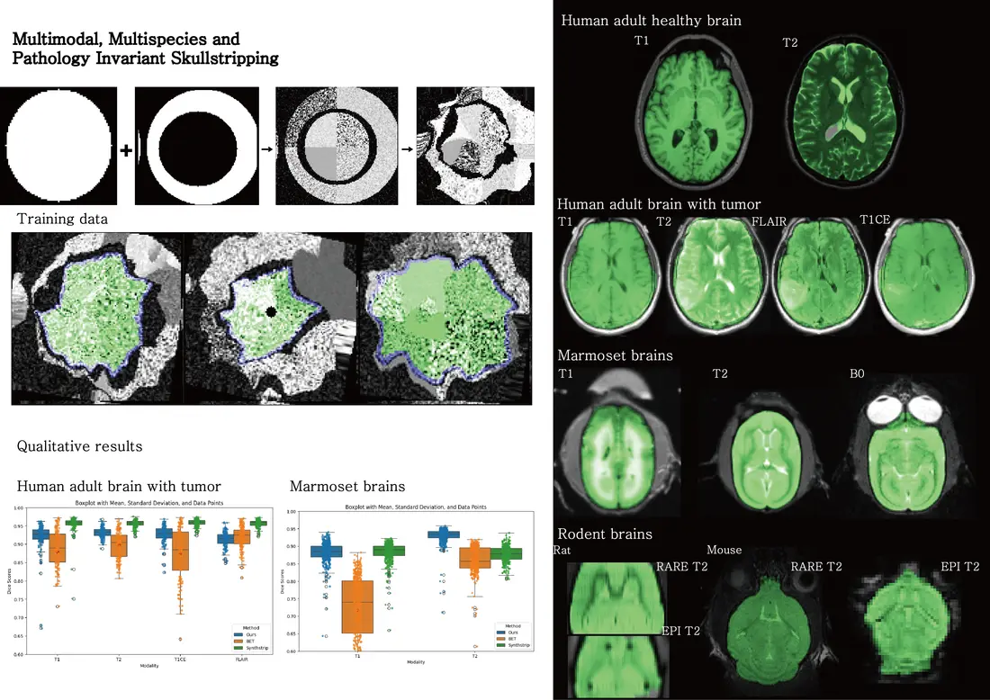 Synthetic medical image generation workflow and example volumes